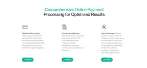 Pay.cc Review – a Company that Provides Custom Payment Processing Solutions