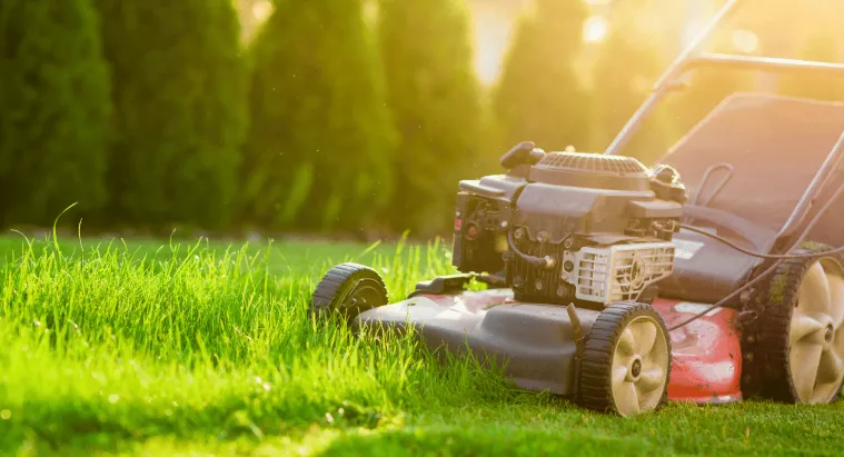 Summer Showdown: Cool Hacks for Lawn Care and Outdoor Cleaning