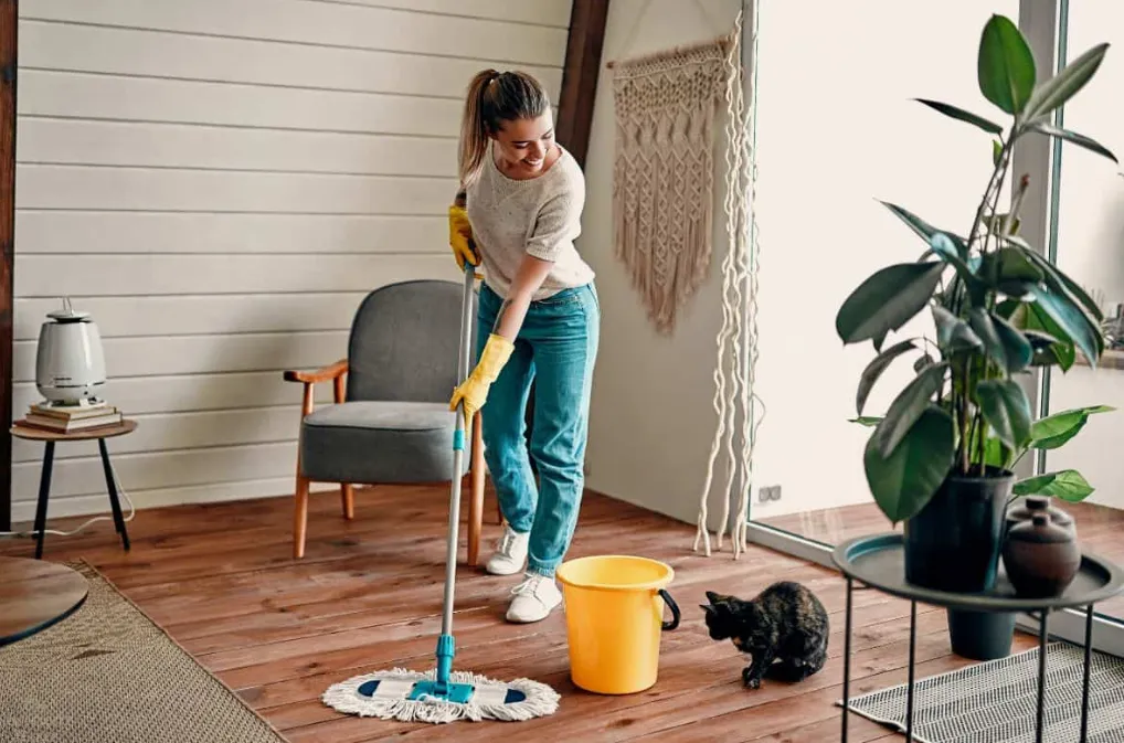 The Ultimate Guide to Professional Residential Cleaning Tips, Tricks, and Services