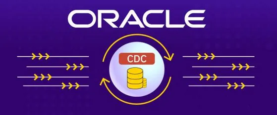 A Comprehensive Review of the Oracle Change Data Capture